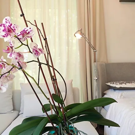 Del Mar With Heated Pool & Villa Mazotos