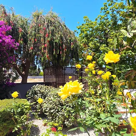 Del Mar With Heated Pool & Mazotos