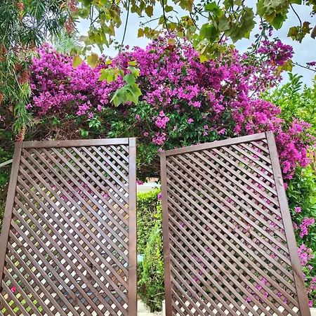 Del Mar With Heated Pool & Villa Mazotos