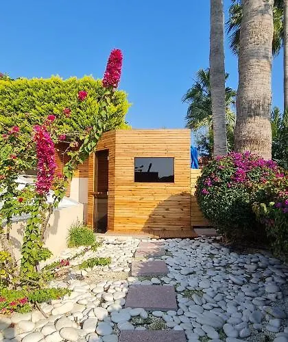 Del Mar Heated Pool Villa Mazotos